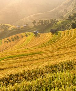 Tour du lịch Sapa 3 ngày 2 đêm